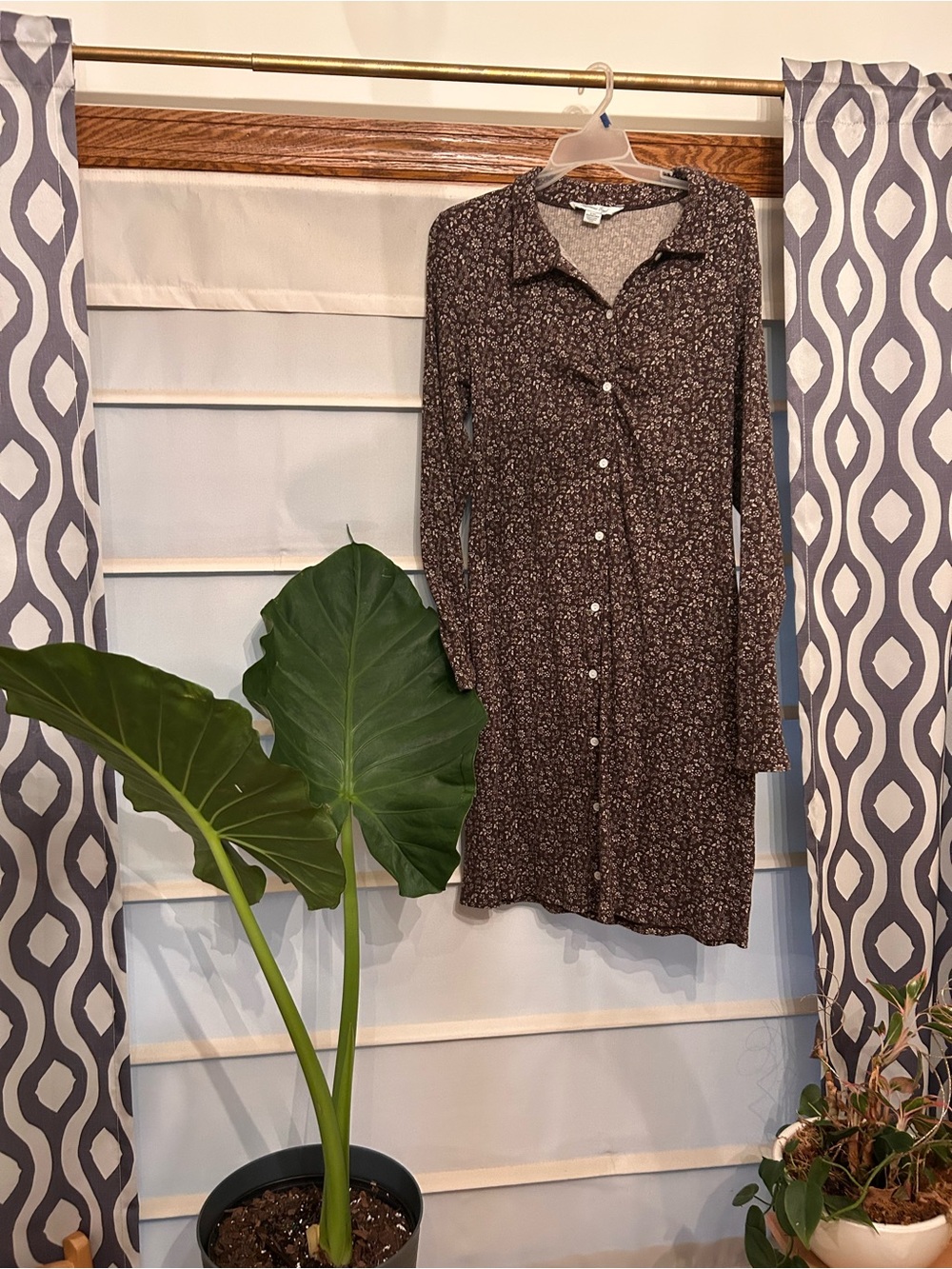 American Eagle Outfitters Brown Floral Long-Sleeve Button Dress